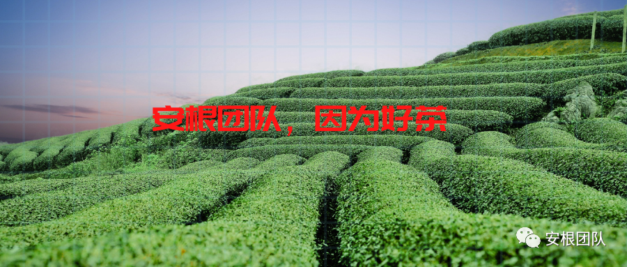 mmexport1613742937728.png 图片